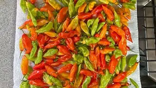 How To Properly Freeze Pimento Peppers | CaribbeanPot.com