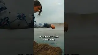 Планета Исландия