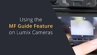 Using the MF Guide Feature on Lumix Cameras | Manual Focus Guide Options on the Panasonic GH6