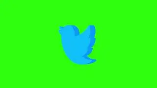 TWITTER GREEN SCREEN