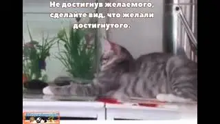 Не достигнув желаемого, сделайте вид, что желали достигнутого.