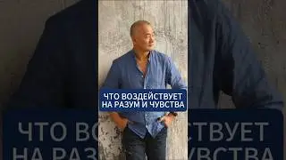 Что воздействует на разум и чувства