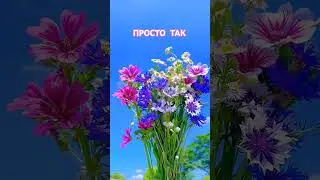 Чудесного всем дня! 