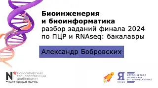 Биоинженерия и биоинформатика: разбор задачи финала 2024 по ПЦР и RNAseq (бакалавры)