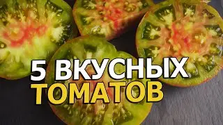 5 СОРТОВ, КОТОРЫЕ МНЕ ПОНРАВИЛИСЬ!