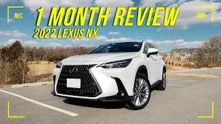 My Thoughts on 2022 Lexus NX 350h After 1 Month