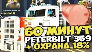 60 МИНУТ на PETERBILT 359 с ОХРАННИКОМ и БЕЗЛИМИТОМ ⏰✅ НОВЫЙ ИМБАЛАНС на ARIZONA RP в GTA SAMP