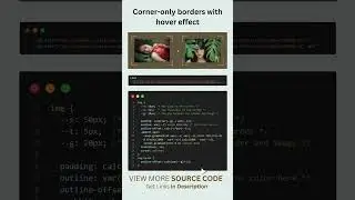 14/100 HTML/CSS/JS Animation: Corner Only Borders With Hover Effect 🤓🤓 