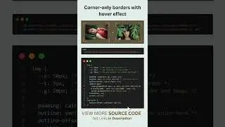 14/100 HTML/CSS/JS Animation: Corner Only Borders With Hover Effect 🤓🤓 #shorts