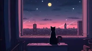 Lo-fi for cat ✨ Lofi cat mix 🐾 Study/calm/heal/enjoy [ Lofi Hip Hop - Lofi Chill ]