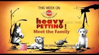 NDTV - WeR4pets - Heavy petting show