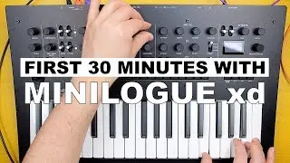 MINILOGUE xd FIRST LOOK — A MINILOGUE FANBOYS PERSPECTIVE