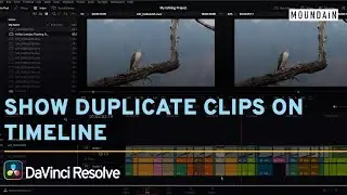 Find duplicate clips on timeline in Davinci Resolve 