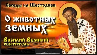 О животных земных | Василий Великий