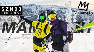 BLUEBIRD POW day at MAMMOTH MOUNTAIN!