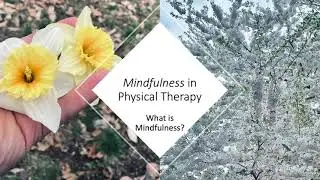 What is Mindfulness in Physical Therapy?