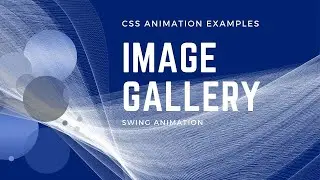 Simple Image Gallery with Swing Effect | CSS Animation Examples