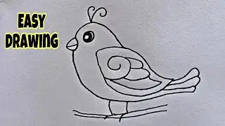 How to Draw A Bird Easy step by step