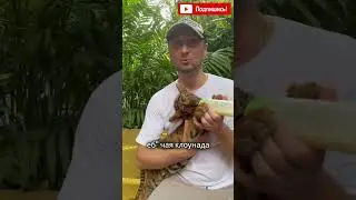 🦷Зубарев в заповеднике 😱🥺❤️