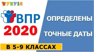 Расписание ВПР в 2020 году