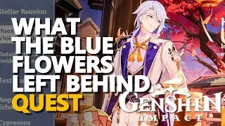 What the Blue Flowers Left Behind Genshin Impact