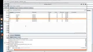 Burp Suite 2: Intruder Tool - Cluster Mode