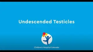 What are Undescended Testicles?