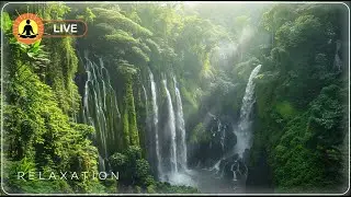 🔴 Relaxing Music 24/7, Meditation Music, Calm Music, Healing Music, Yoga, Sleep, Study Music, Zen