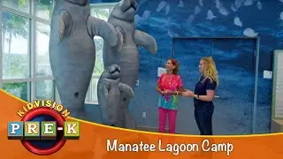 Manatee Lagoon Camp | Virtual Field Trip | KidVision Pre-K