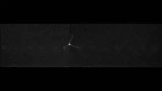 The movie of the stepping motion of the simulated myosin