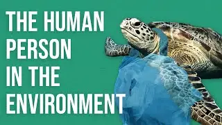 The Human Person in the Environment