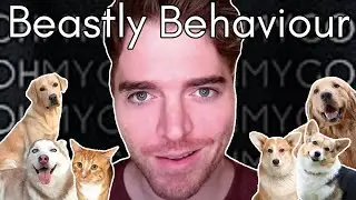 The Disturbing History of Shane Dawson's Pets