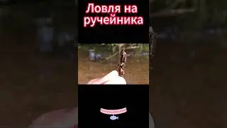 Ловля на ручейника