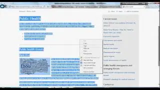 How to copy and paste content from webpage into word document