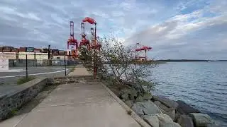 Point Pleasant Park Car Meet - The View