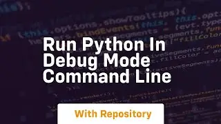 run python in debug mode command line
