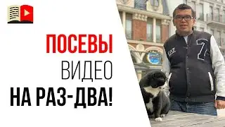 Посев видео в социальных сетях | Совет начинающим видеоблогерам №10 от Александра Некрашевича