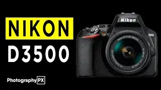 Nikon D3500 DSLR Camera Highlights & Overview