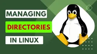 Linux Basics: Learn How to Create and Manage Folders/Directories with Ease! 📁💻