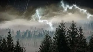 10 Hours Rain & Thunder | Rainstorm Sounds for Sleep, Studying or Relaxation | Nature White Noise