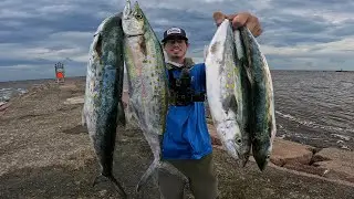 TEXAS Jetty Fishing for SPANISH MACKEREL