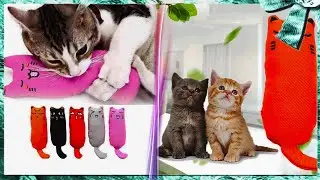 Кот и Кошачья Мята, Жевательная Игрушка для Кошек