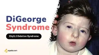 DiGeorge Syndrome Pathophysiology | 2-Minute Neurology Video | V-Learning™