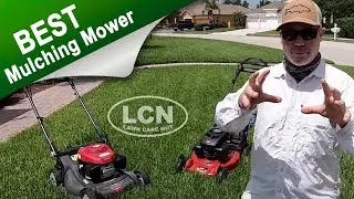 Whats The Best Mulching Lawn Mower? Allyn Hane, The Lawn Care Nut