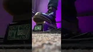 Using A Bass Wah With Guitar! - CRAZY TONES! #Shorts