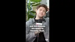 Niall Horan teaches us the word swanny