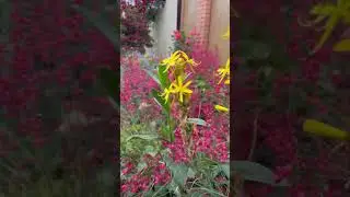 Мира и добра Всем❤️
