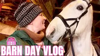 24 Hours On A Horse Farm! Riding, Grooming, Liberty & More!