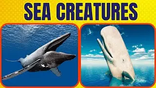 Learn ABC Sounds with Ocean Animals - Alphabet Phonics Kids Song