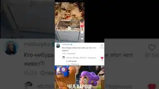 ЧЕЛ ХАРОШ!!!